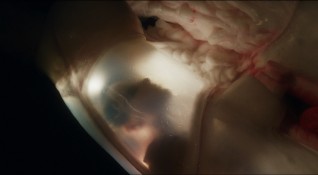 Björk 'ARISEN MY SENSES'