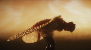 Björk 'ARISEN MY SENSES'
