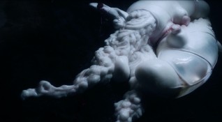 Björk 'ARISEN MY SENSES'